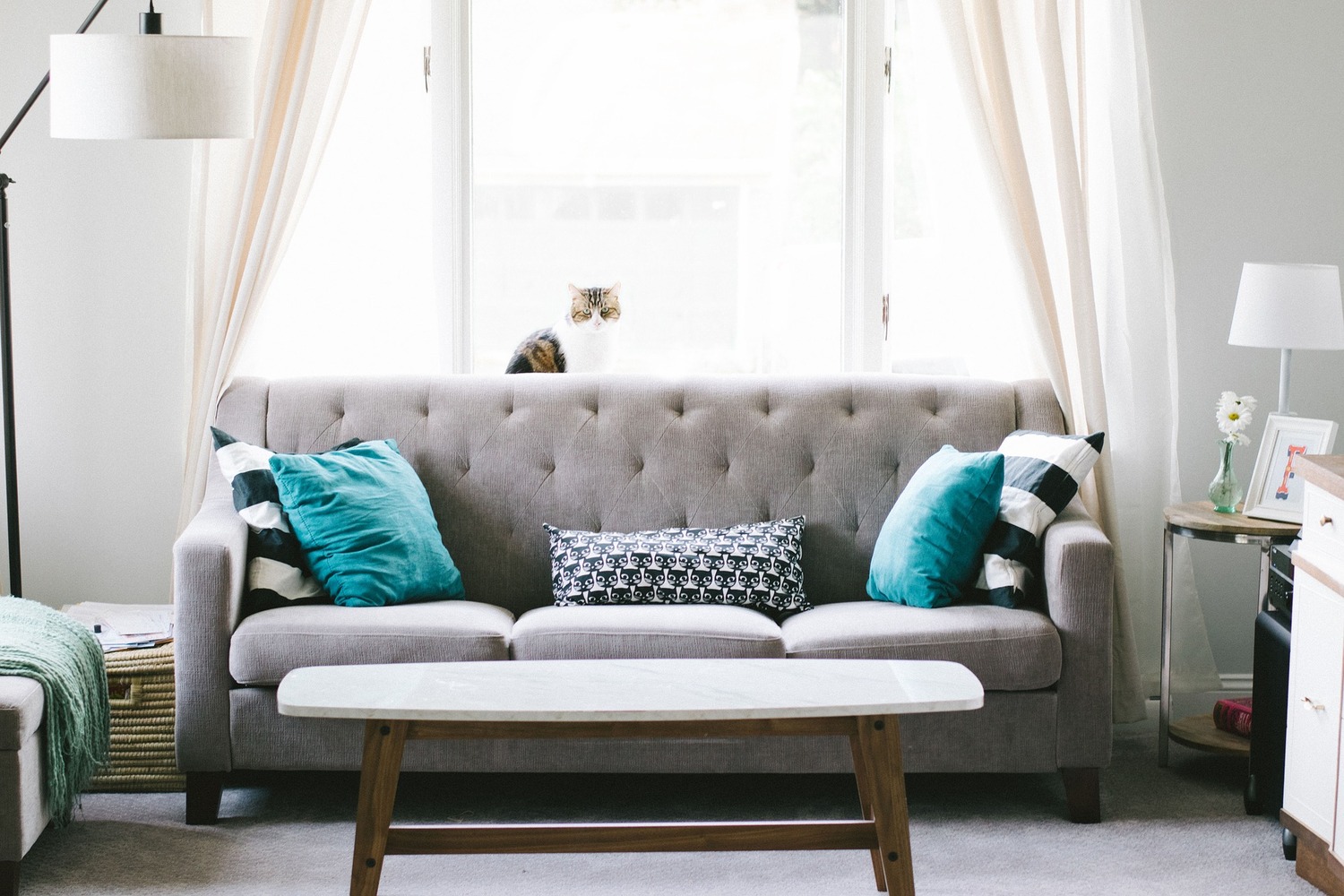 interior couch setting